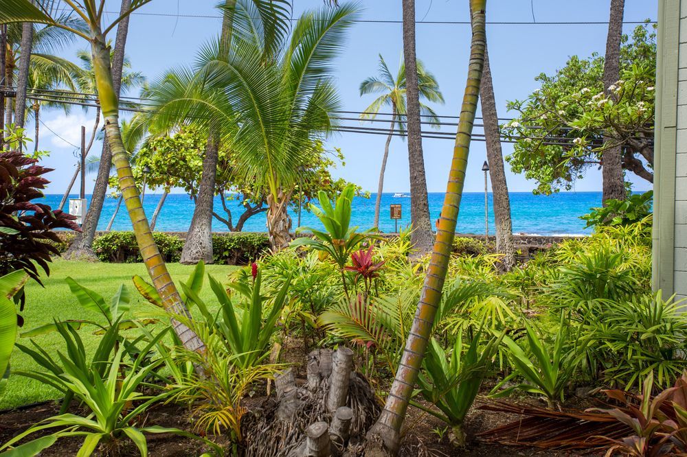 Vacation Condos In Kona 카일루아 코나 외부 사진